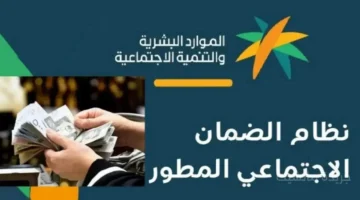 حقك محفوظ.. الضمان الاجتماعي يتيح للأسر تقديم شكوى ضد العائل حال عدم صرف المعاش 1